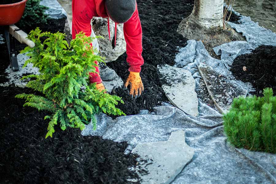 Mulching- Kalamazoo & Portage, MI 